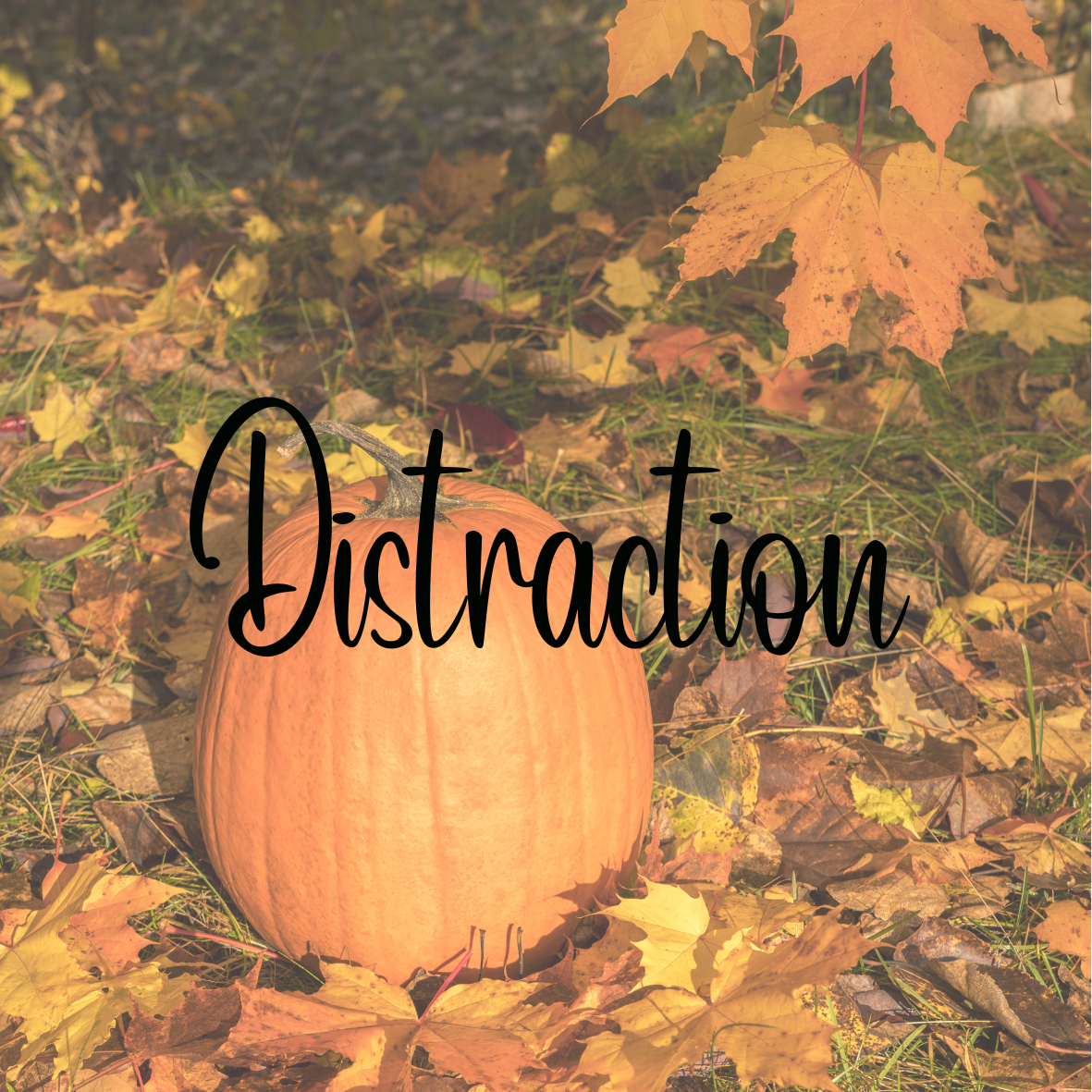 Distraction Cup