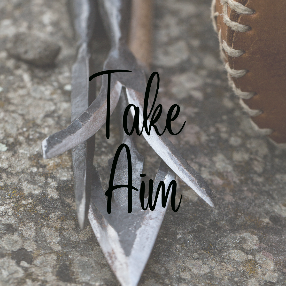 Take Aim Cup